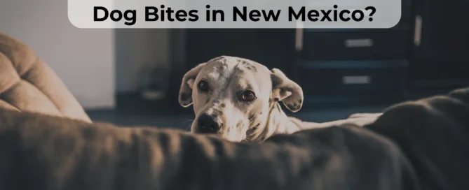 Dog owners should know if they’re covered if their dog bites someone in New Mexico. Learn about the renters insurance rules.