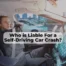 Find out who can be held liable for a self-driving car accident in New Mexico.